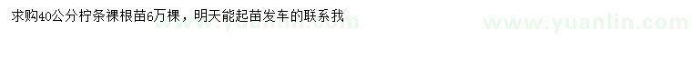 求購40公分檸條