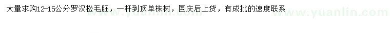 求購12-15公分羅漢松