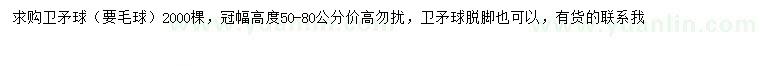 求購冠幅50-80公分衛矛球