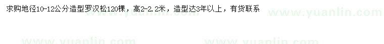 求購(gòu)地徑10-12公分造型羅漢松