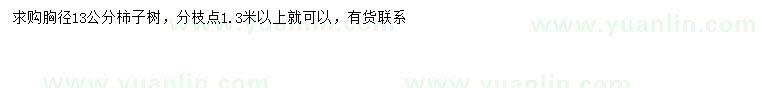求購胸徑13公分柿子樹