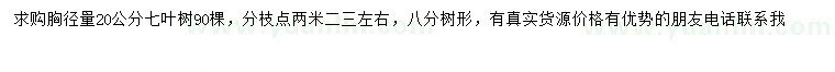 求購(gòu)胸徑20公分七葉樹