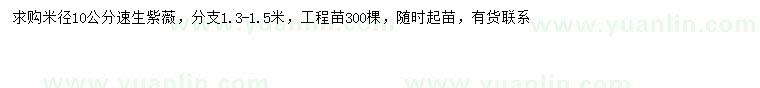 求購(gòu)米徑10公分速生紫薇