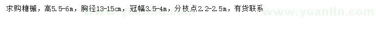 求購(gòu)高5.5-6米糖槭