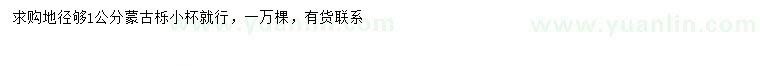 求購地徑1公分蒙古櫟