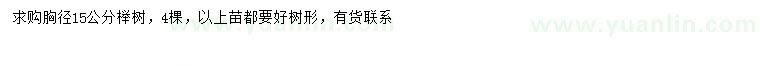 求購胸徑15公分櫸樹