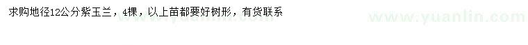 求購(gòu)地徑12公分紫玉蘭