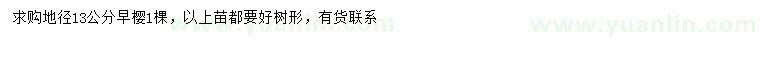 求購地徑13公分早櫻