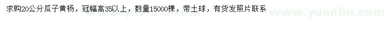 求購(gòu)20公分瓜子黃楊