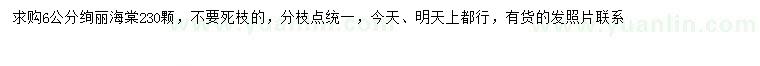 求購6公分絢麗海棠