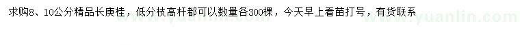 求購8、10公分長庚桂