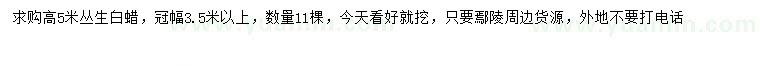 求購(gòu)高5米叢生白蠟