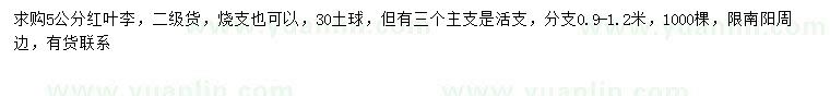 求購5公分紅葉李