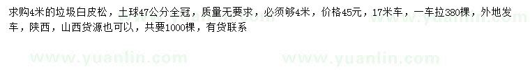 求購4米白皮松