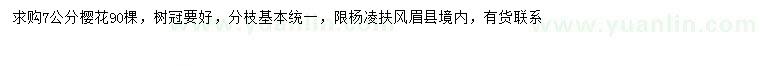 求購7公分櫻花