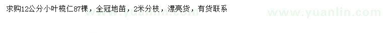 求購12公分小葉欖仁