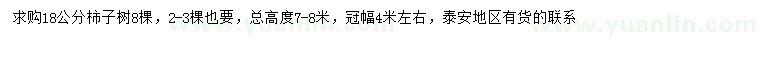 求購18公分柿子樹