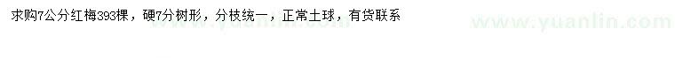 求購7公分紅梅