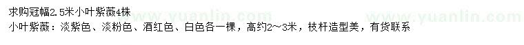 求購冠幅2.5米小葉紫薇