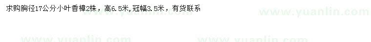 求購胸徑17公分小葉香樟