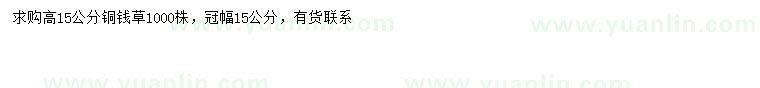 求購高15公分銅錢草