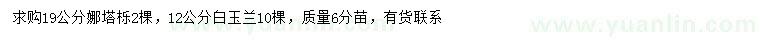求購19公分娜塔櫟、12公分白玉蘭