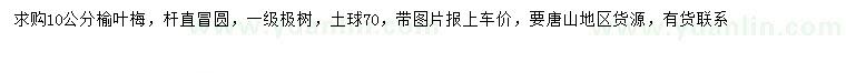 求購10公分榆葉梅