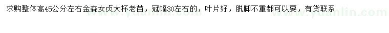 求購高45公分左右金森女貞