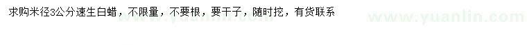求購米徑3公分速生白蠟