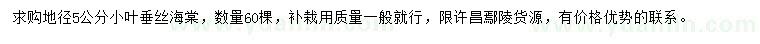 求購(gòu)地徑5公分垂絲海棠