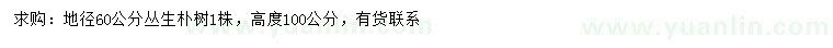 求購(gòu)地徑60公分叢生樸樹