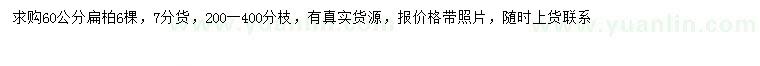 求購(gòu)60公分扁柏
