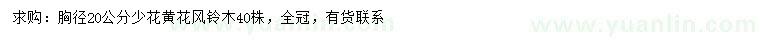 求購胸徑20公分少花黃花風(fēng)鈴木