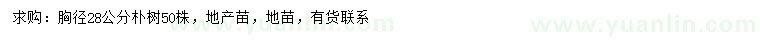 求購胸徑28公分樸樹(shù)