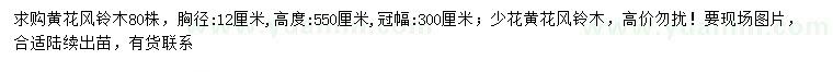求購胸徑12公分黃花風(fēng)鈴木