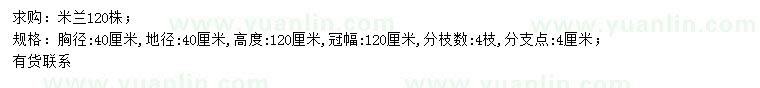 求購胸徑40公分米蘭