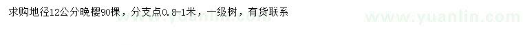 求購地徑12公分晚櫻