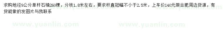 求購地徑9公分石楠