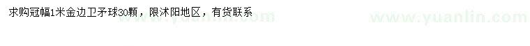 求購冠幅1米衛(wèi)矛球