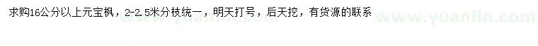 求購16公分以上元寶楓