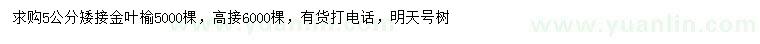 求購(gòu)5公分金葉榆