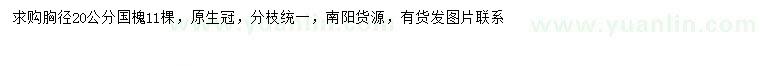 求購胸徑20公分國槐
