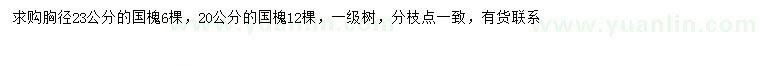 求購胸徑20、23公分國槐