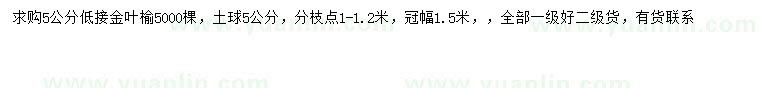 求購5公分金葉榆