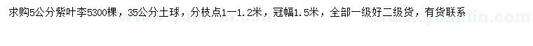 求購(gòu)5公分紫葉李