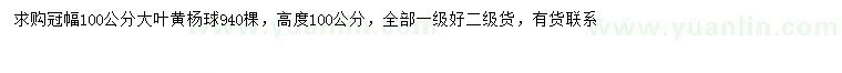 求購冠幅100公分大葉黃楊球