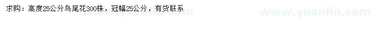 求購(gòu)高25公分鳥(niǎo)尾花