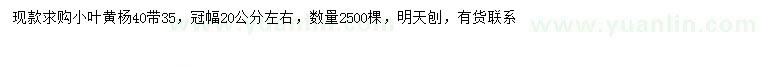 求購(gòu)35公分以上小葉黃楊