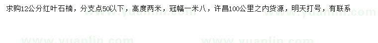 求購12公分紅葉石楠