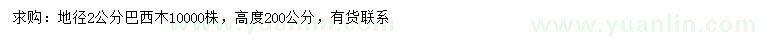 求購(gòu)地徑2公分巴西木